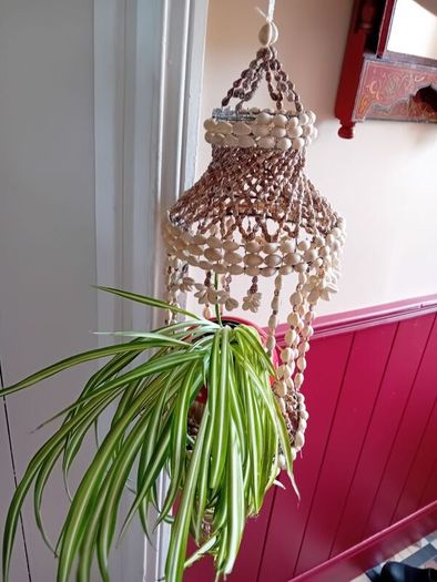 vintage 1960 seashell hanging planter