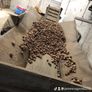 Potato grader Image 6