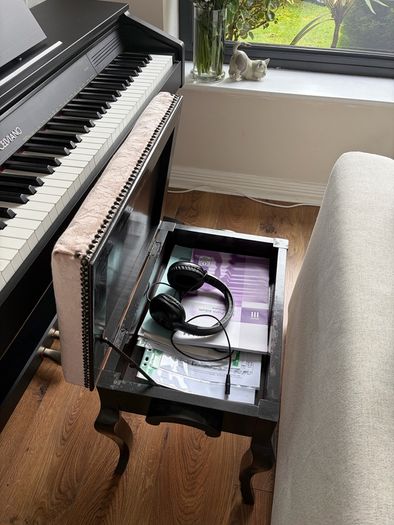 Celviano AP 260