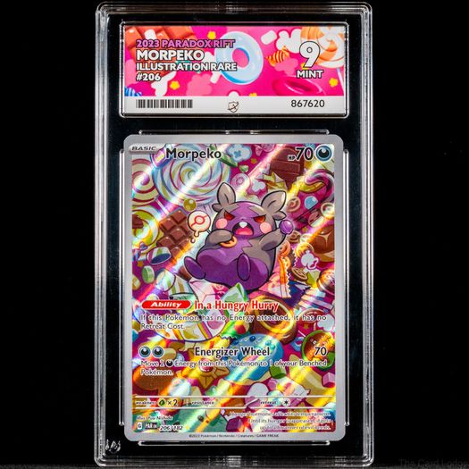Morpeko 206/182 Ace Grading 9 Mint llustration AR Rare Paradox Rift Pokemon Card