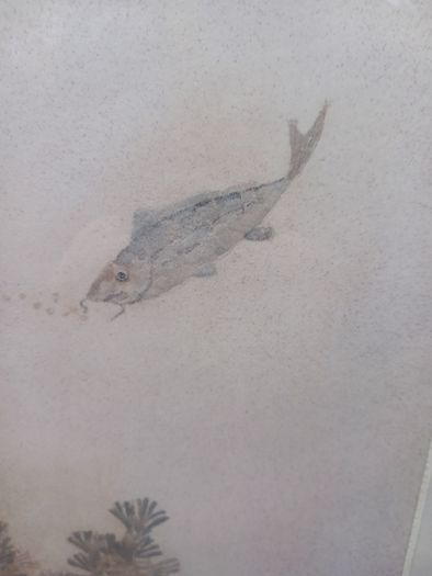 Fish Swimming, signed, painting, D18