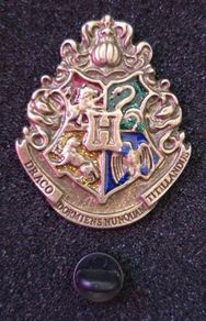 Harry Potter, draco, pin back badge.