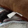 Horse plush pillow pet soft toy Image 5