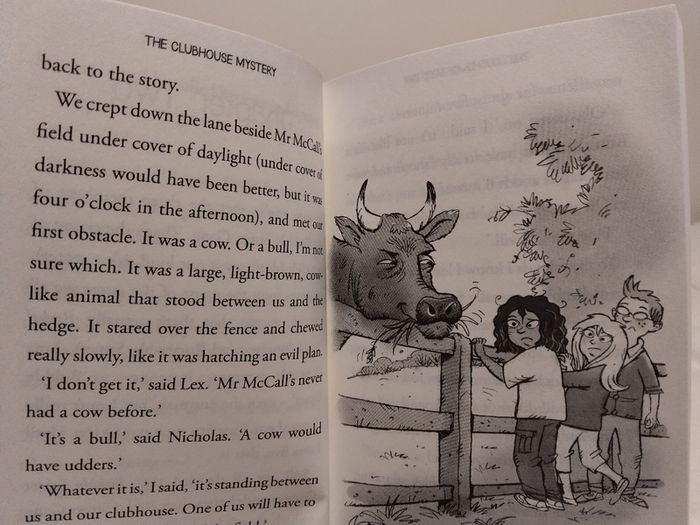 The Clubhouse Mystery By Erika Mcgann