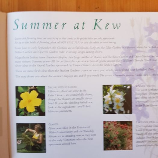 Kew Royal Botanic Kew Gardens Souvenir Guide.