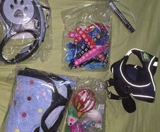kitten accessories