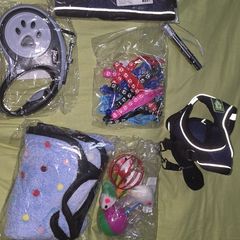 kitten accessories