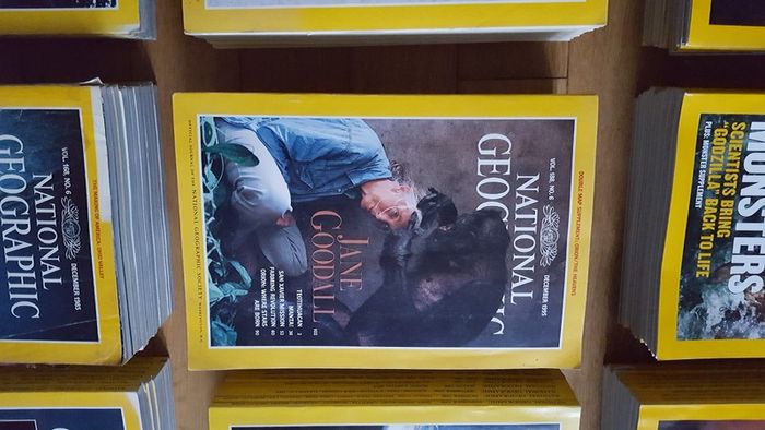 National Geographic magazines x 400 from early 20th century to 2009