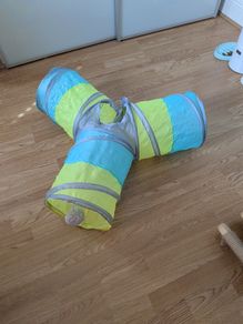 Cat tunnel
