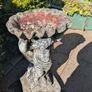 Angel and Shell Stone Birdbath garden statue Image 3