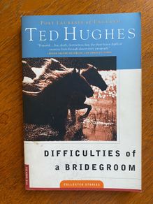 Ted Hughes - Difficulties of a Bridegroom