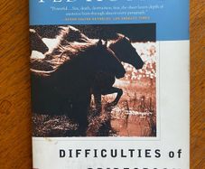 Ted Hughes - Difficulties of a Bridegroom