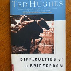Ted Hughes - Difficulties of a Bridegroom