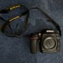 Nikon D7500 & Tamron 150-600mm & 18-140mm & 50mm Lens Image 2