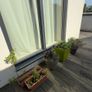 5 plants and garden stuff Image 6