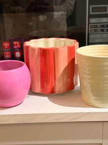 Plant pot