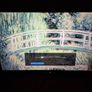 Aquos 80 inch Image 6