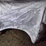 wedding chair covers x100 Image 2