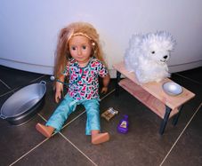 Our Generation doll vet with dog and accessories