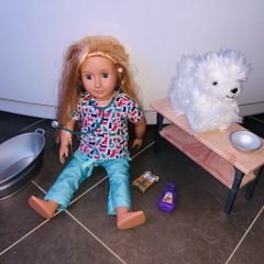 Our Generation doll vet with dog and accessories