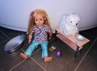 Our Generation doll vet with dog and accessories