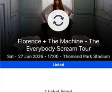 Florence and the Machine - Thomond Park 27th June - Standing