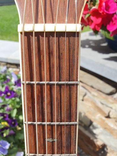Tanglewood TW15 Dreadnought