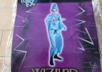 adult costume  wizard suit