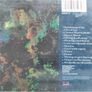 Hothouse Flowers - Home Cd Image 3