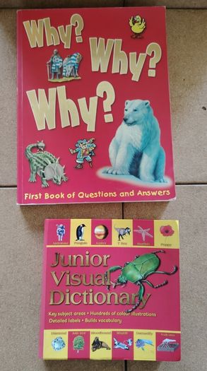 Children's Educational Book Bundle  Miles Kelly