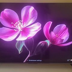 Tcl 55 Inch 144hz Mini Led Tv