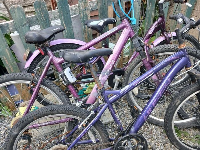 bikes
