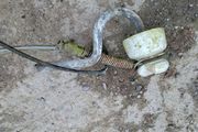 ESB Porcelain Insulator Large Electrical Insulator