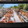 Samsung 46" Smart 3D Full HD LED TV Image 7