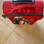 Very Urgent: Samsonite Travel Cabin Bag Image 3