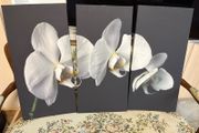 Canvas x3 30x60cm