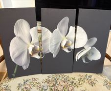 Canvas x3 30x60cm