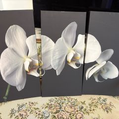 Canvas x3 30x60cm