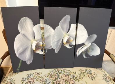 Canvas x3 30x60cm