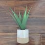 Artificial Aloe Vera Plant Image 3