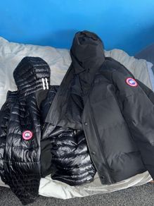 Canada Goose