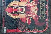 Mastodon The Hunter Deluxe 2LP