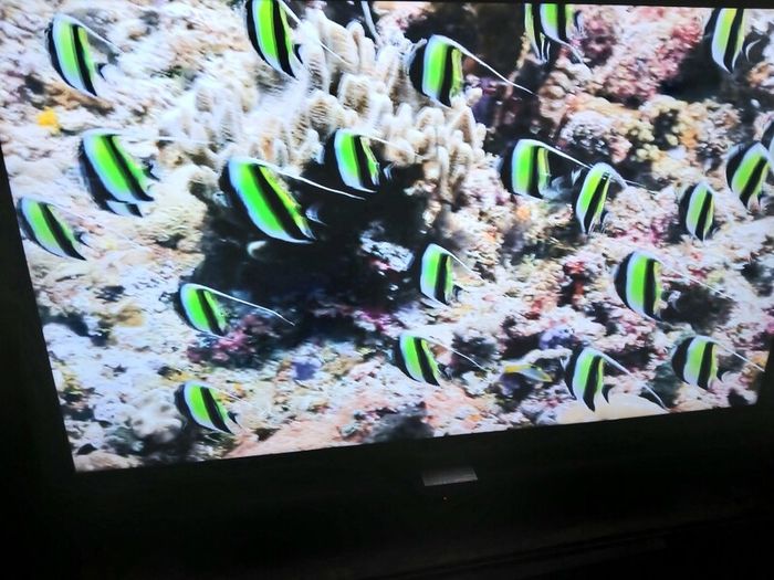 Samsung 40 inch Smart hdmi tv.
