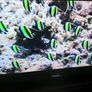 Samsung 40 inch Smart hdmi tv. Image 4
