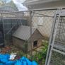 pet safe dog run Image 2