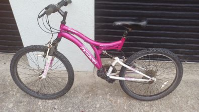 Girls Muddyfox Mountain Bike