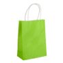 Paper Party/Gift Bags with Twisted Paper Handles Small/Medium/Large/Extra-Large Image 6