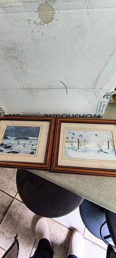 Set of 2 framed prints by Julian Friers is a renowned Irish wildlife painter