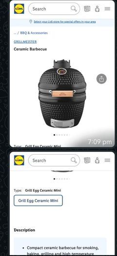 Ceramic lidl egg BBQ unused