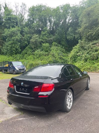 Bmw F10 520d
